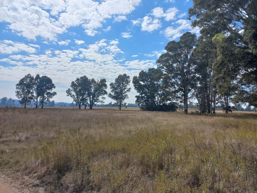 0 Bedroom Property for Sale in Vaalpark Free State